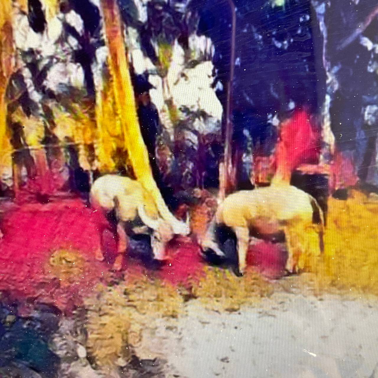 farmerprotocol3